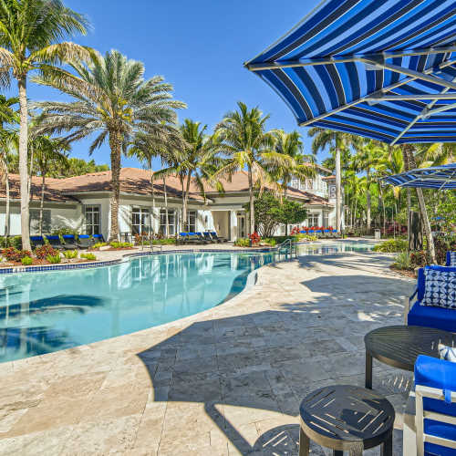 Swimming pool at {location_name}} in Plantation, Florida