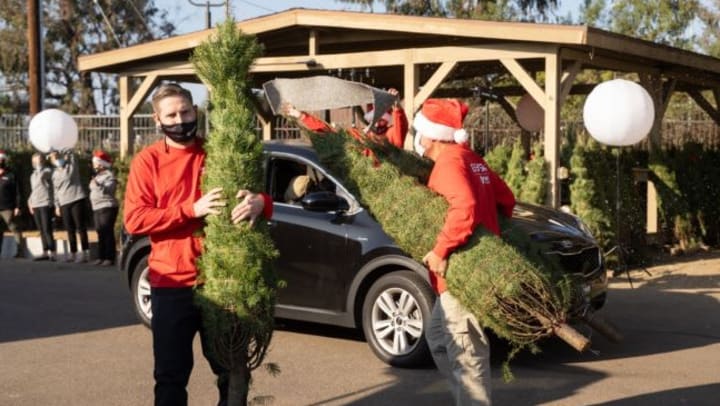 Two people moving Christmas Trees for the annual Giveaway