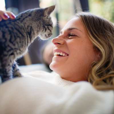 Link to pet policy of Solana Apartments in Burien, Washington