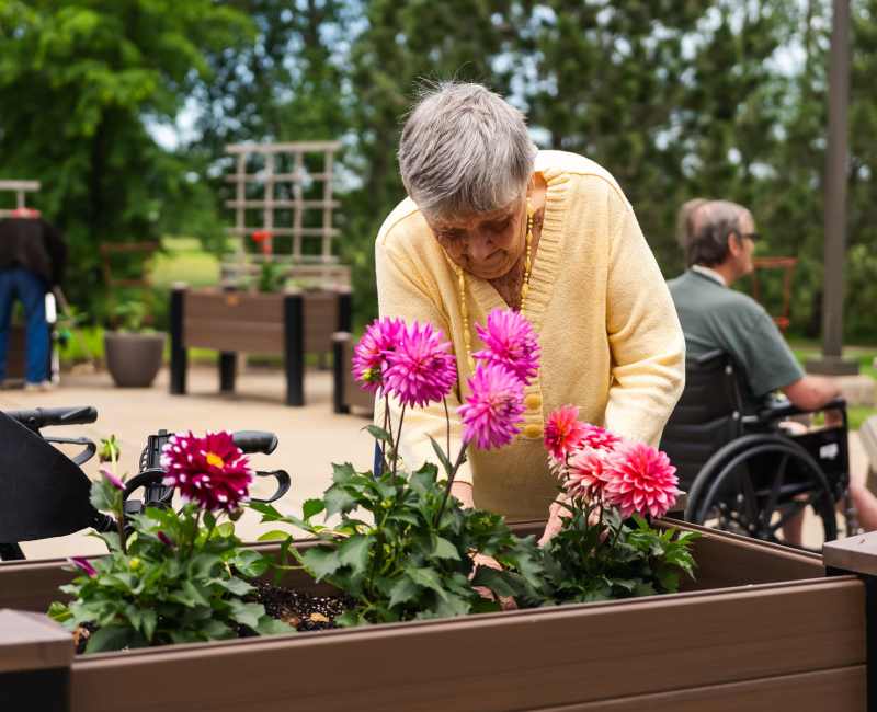Resident gardening at Meadows on Fairview in Wyoming, Minnesota