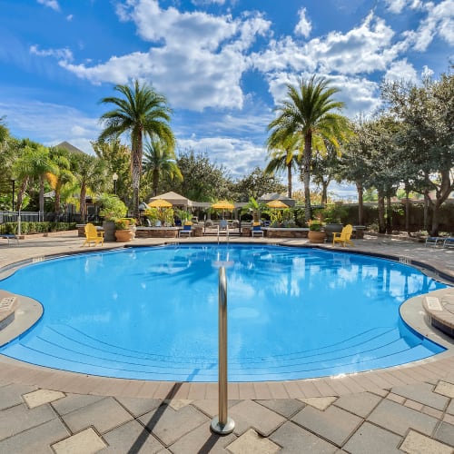 Palm trees by the swimmin pool at Grandewood Pointe in Orlando, Florida