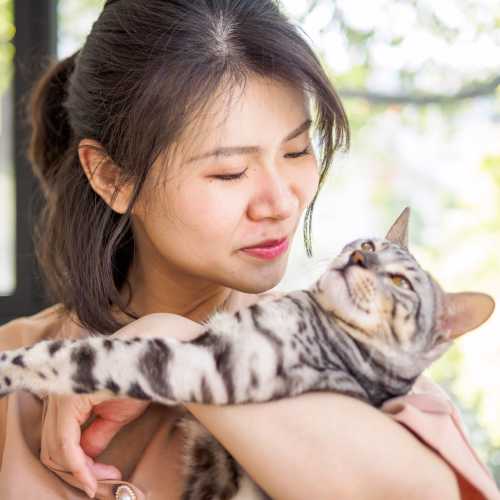 Resident with her pet cat at Hawthorn at Oakhurst in Aurora, Illinois