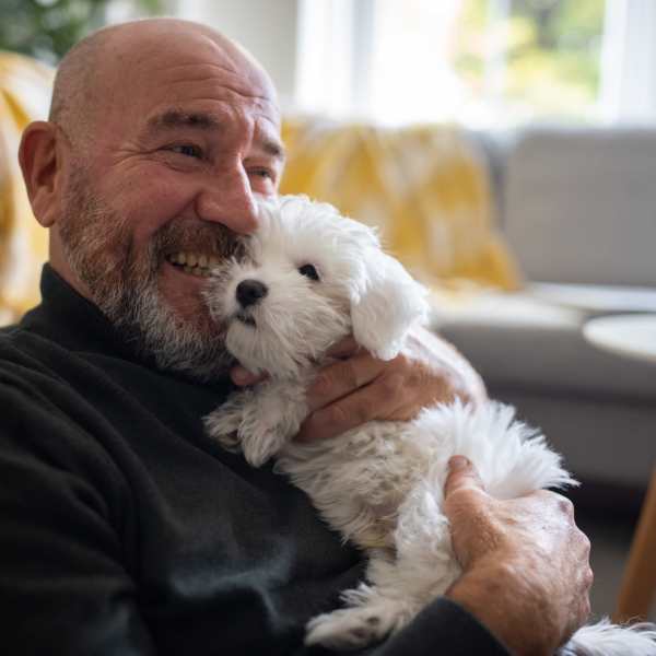 Pet-Friendly community at Cedar Broad, Richmond, Virginia