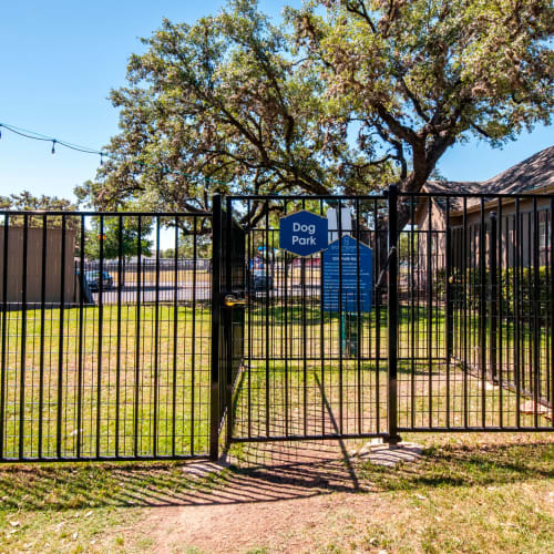 Spacious community dog park at Sonterra Heights in San Antonio, Texas