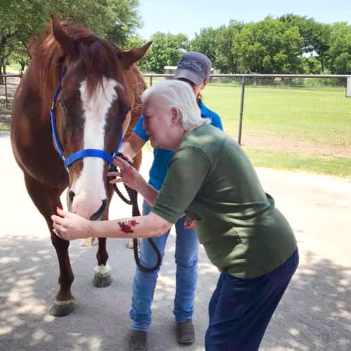 resident petting a horse at The Oxford Grand Assisted Living & Memory Care in McKinney, Texas