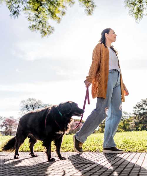 Resident with her pet going on a walk at Pike Place in Pittsburgh, Pennsylvania