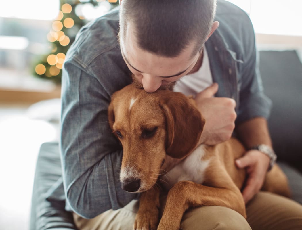 Man snuggling his dog at Sunchase Ridgeland Apartments in Ridgeland, Mississippi