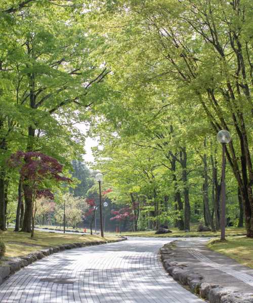 Local park near Quaker Meadows in Hermitage, Pennsylvania