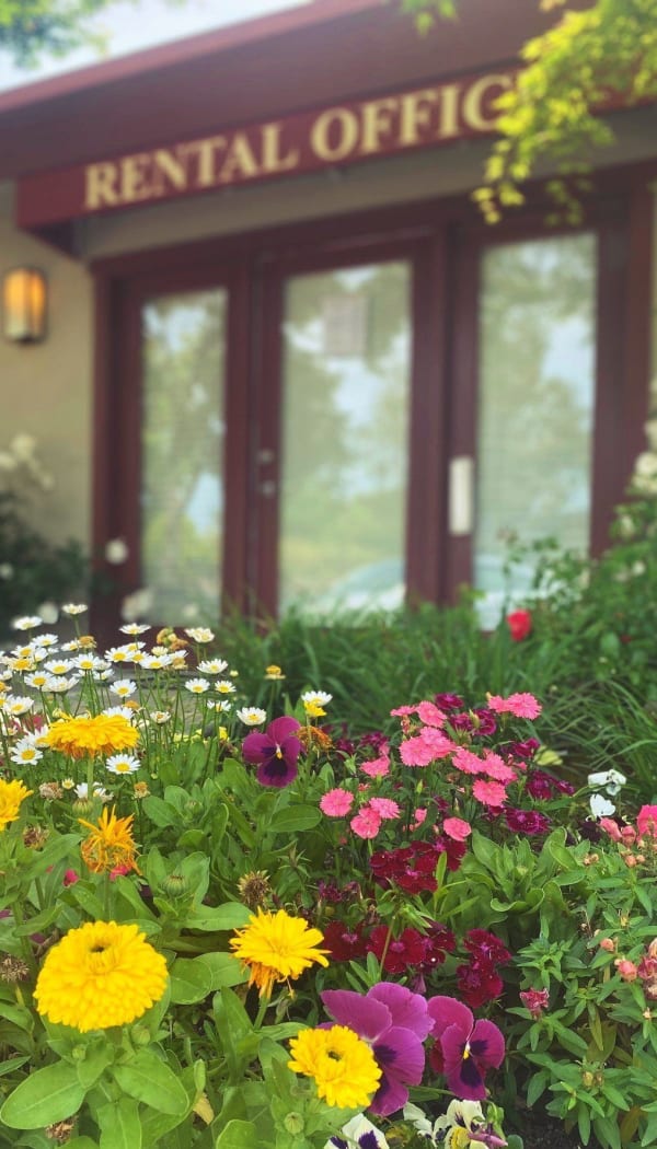 Flowerbeds outside of the rental office at Ray Stone Inc.