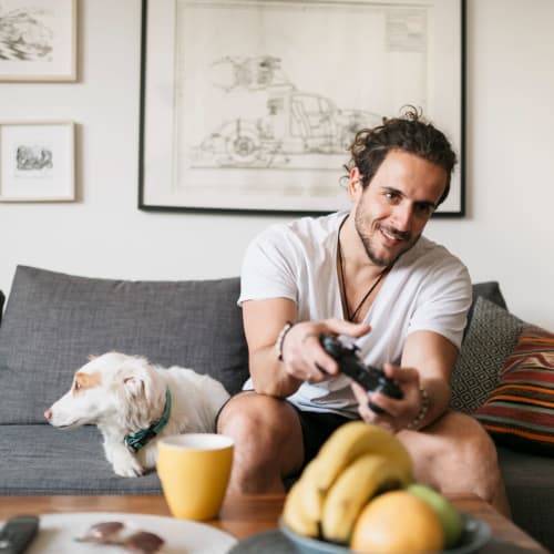 Dog sitting with their human on a couch at Landmark Apartments Phase II in Little Rock, Arkansas