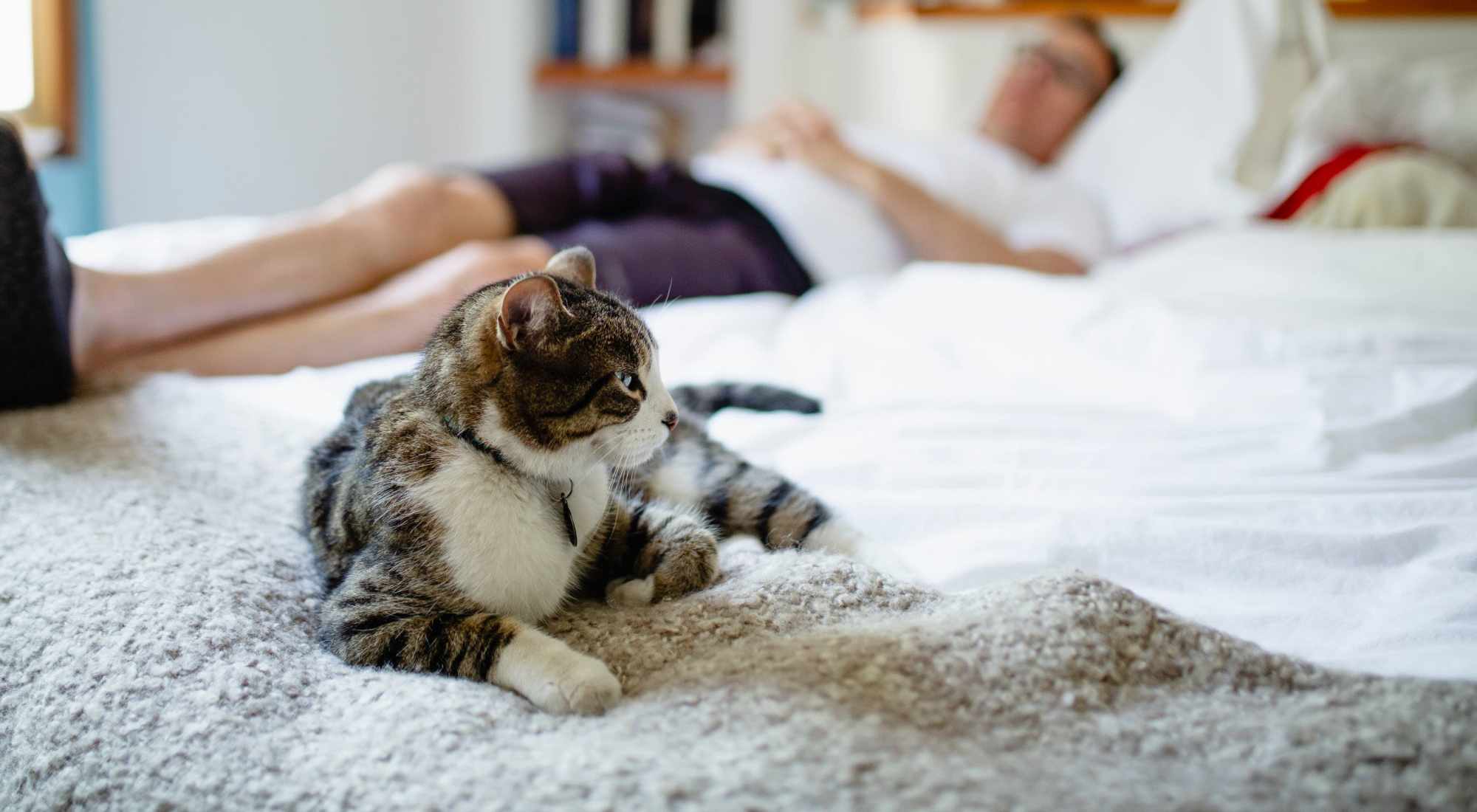 Pet Friendly | Evergreen Westside in Gainesville, Florida