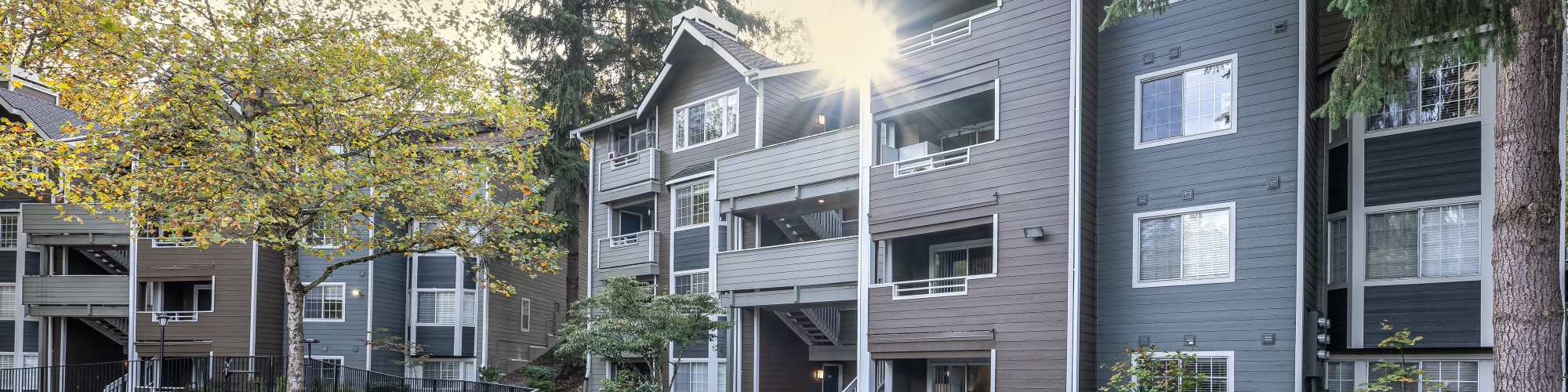 Apply | Overlook at Lakemont in Bellevue, Washington