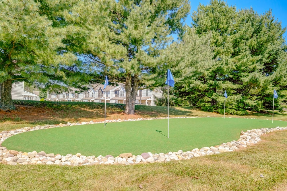 Photos of Fox Run Apartments & Townhomes in Bear, DE