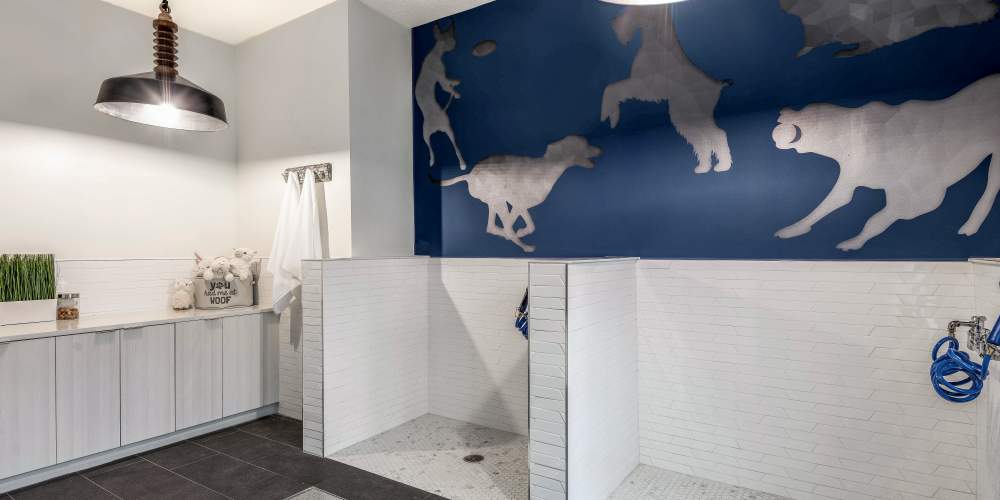 Pet Wash Area at SoBA Apartments in Jacksonville, Florida