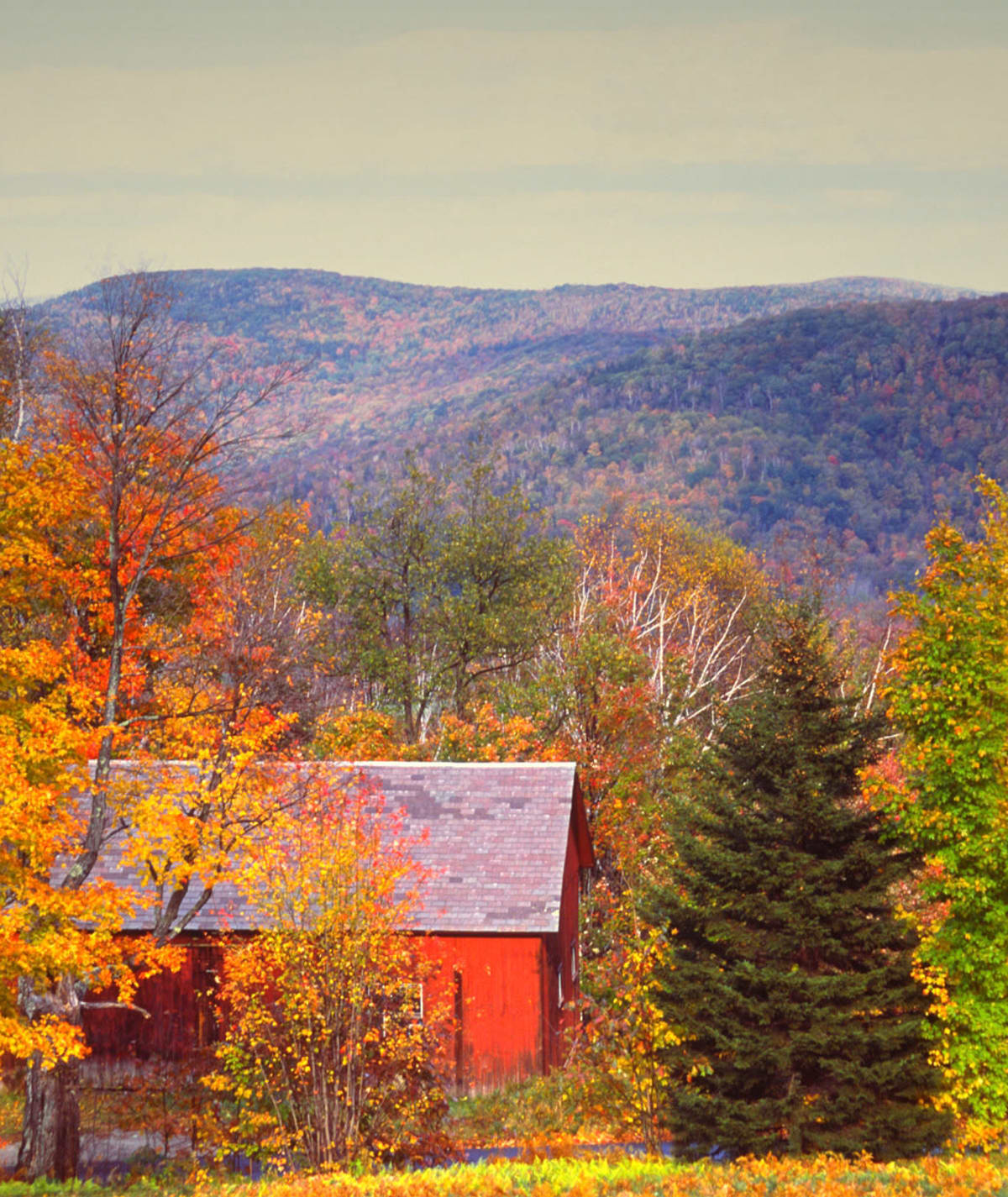 Apartments in Sturbridge, MA