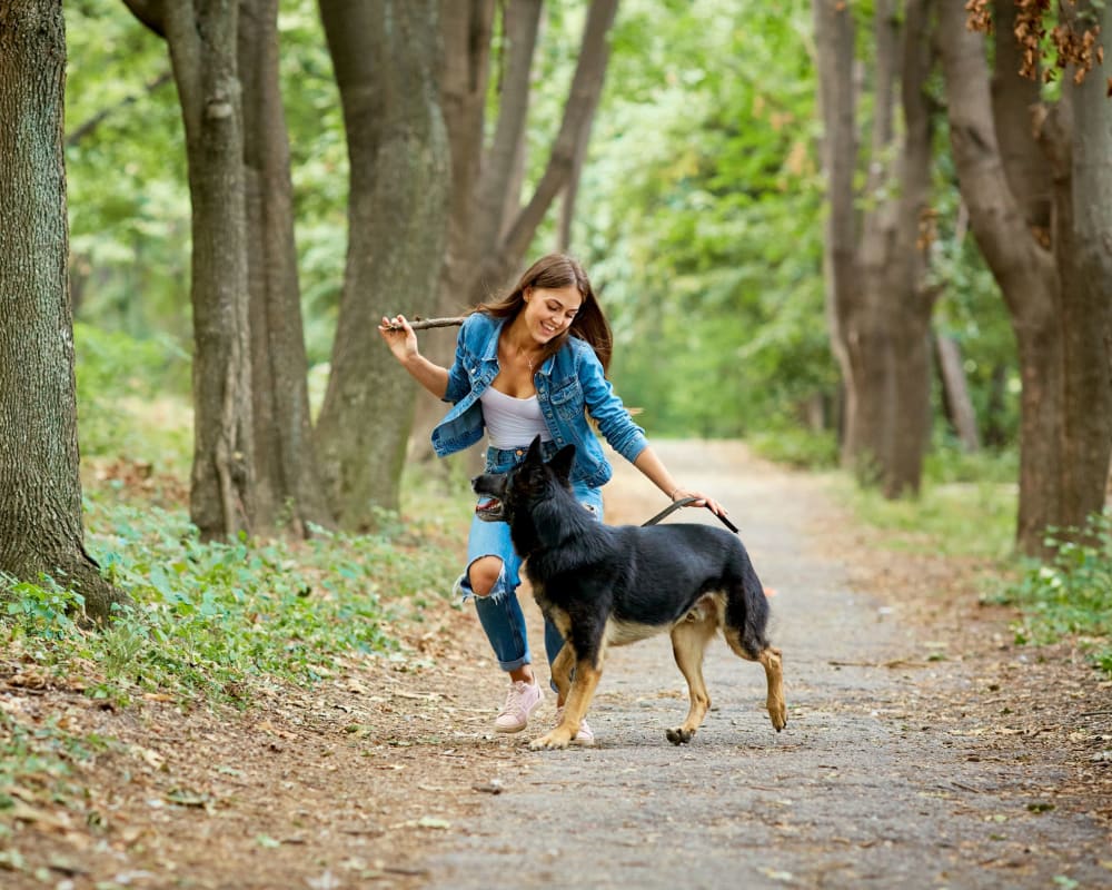 Dog going for a run with their owner at Springwood Gardens in New Britain, Connecticut