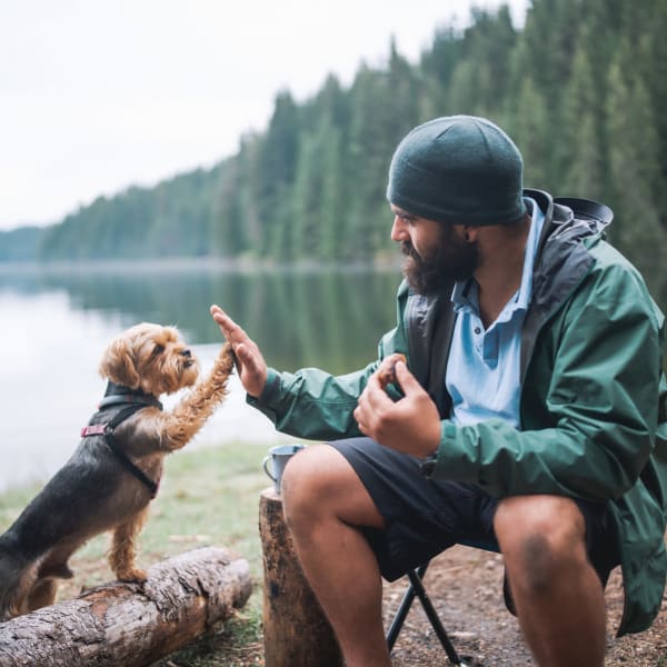 Resident and their dog camping near Parallel 49 in Anacortes, Washington