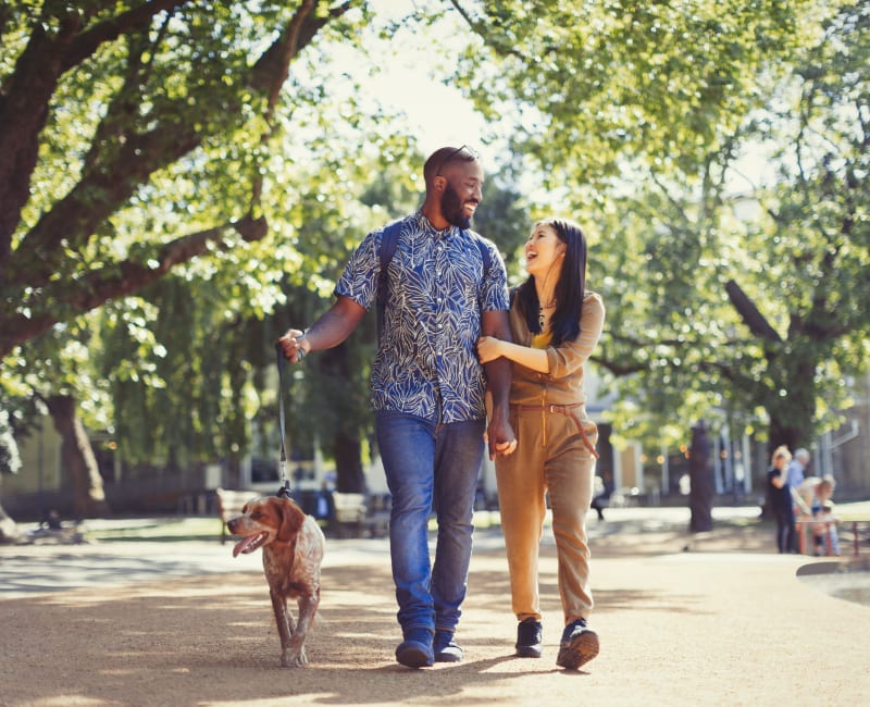 Residents and their dog taking strolling through the neighborhood at Arbrook Park Apartment Homes in Arlington, Texas