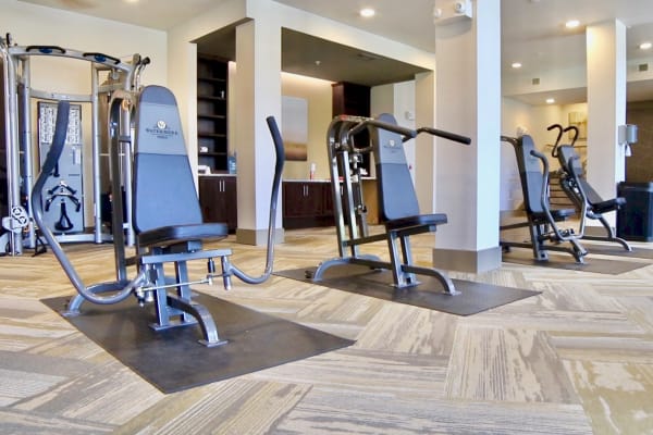 Spacious community gym with cardio machines, free weights, and large windows overlooking nature.