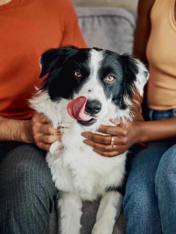Pet-friendly living at Villas at 91st in Tolleson, Arizona
