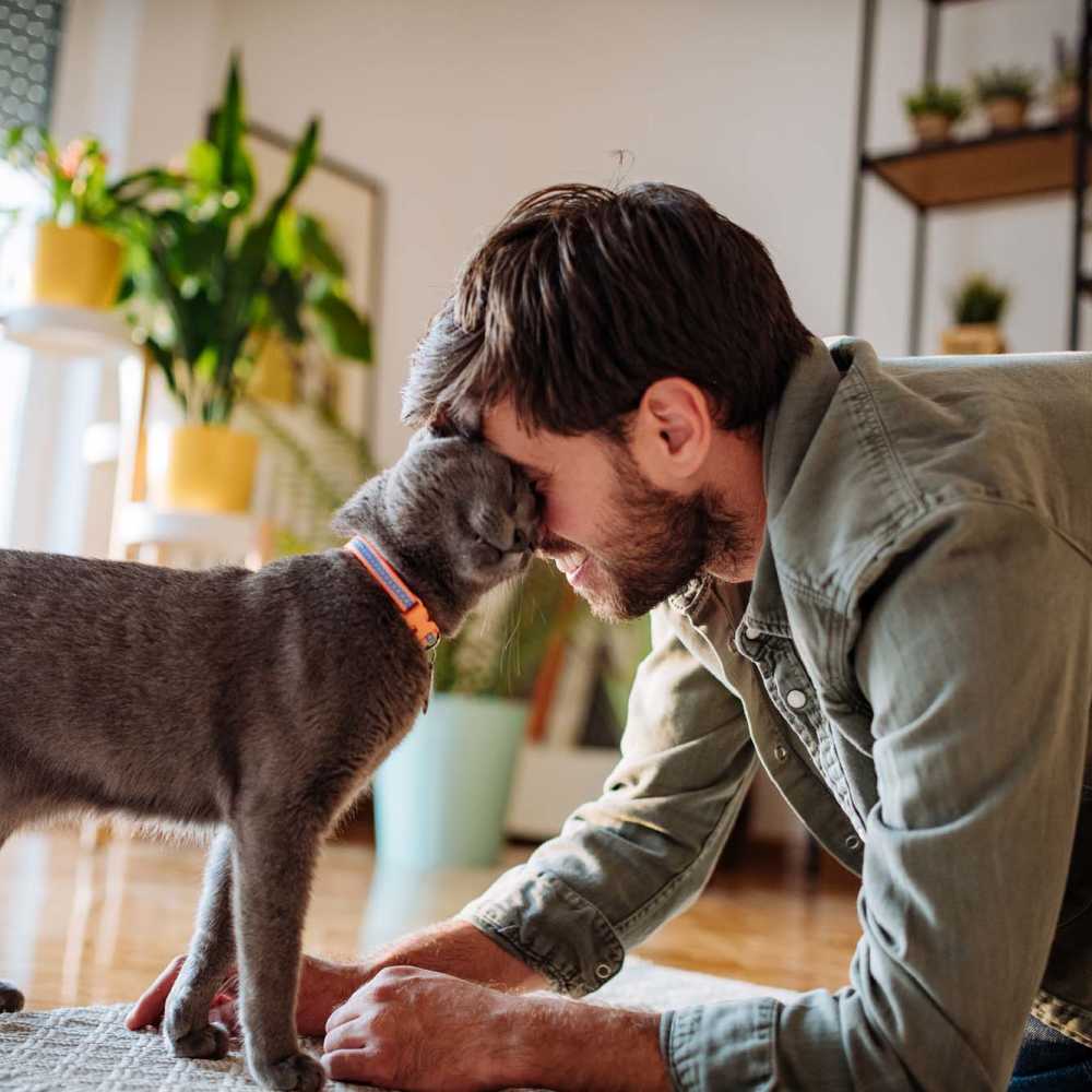 Cat and its owner playing at Paxton Point Hope in Charleston, South Carolina
