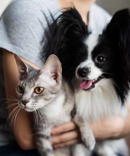 Resident holding her pets at Hunters Run in Gainesville, Florida