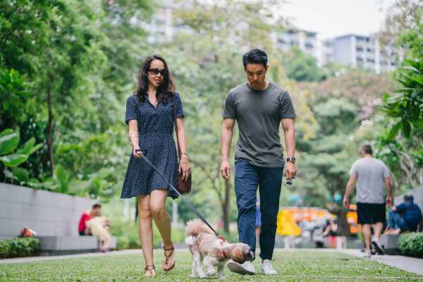 Couple Walking Small Dog