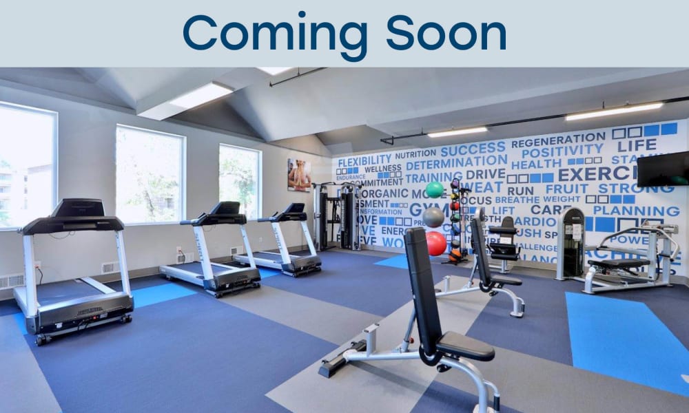 Fully equipped fitness center at Regency Lakeside Apartment Homes