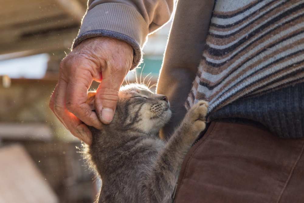 Resident pampering her cat outside at Miller Landing in Cleveland, Tennessee