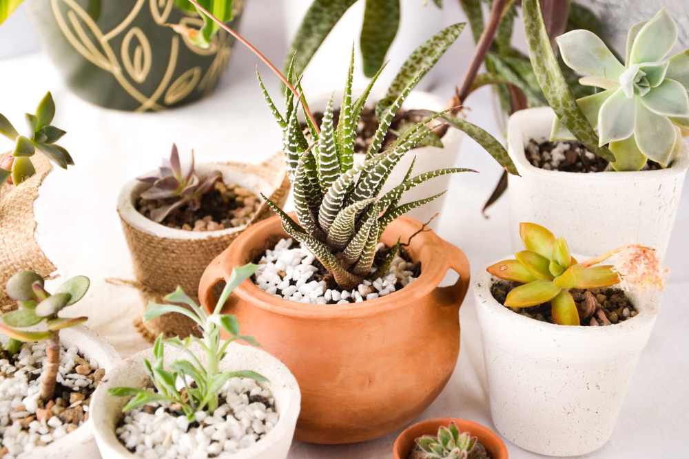 View our green initiatives at Overland Flats in Maricopa, Arizona