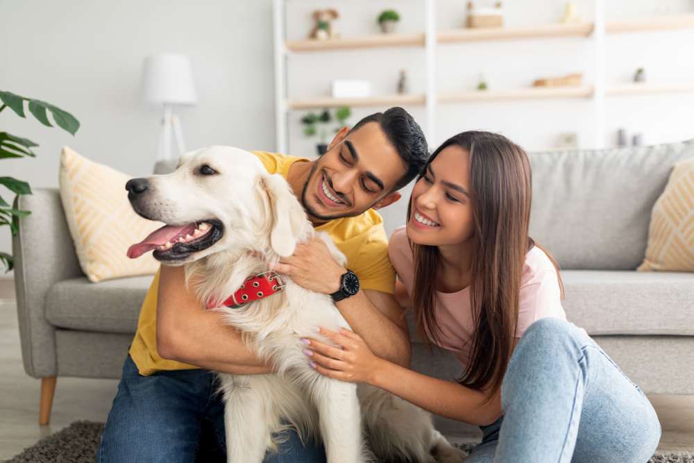Resident with their dog in pet-friendly apartment at Mission Pointe Club Apartments in Euless, Texas