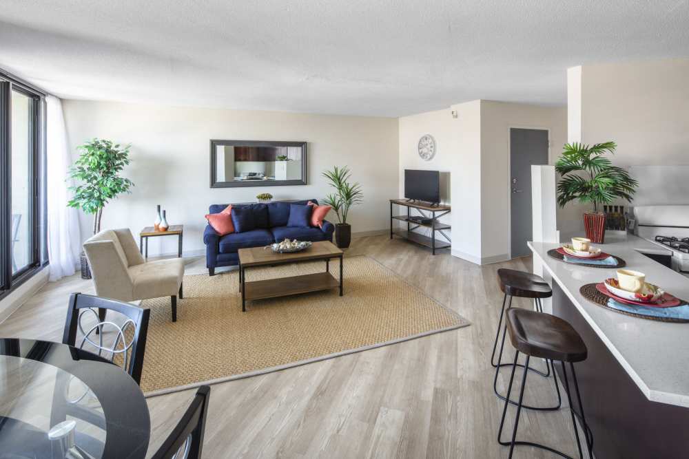 Spacious modern living room with a cozy navy sofa at Skyview Downtown in Springfield, Massachusetts