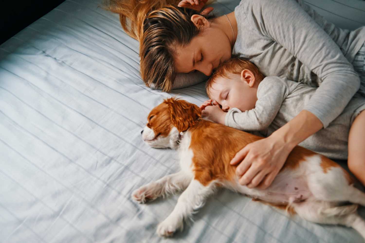 Resident, her child and her dog sleeping on a bed in the bedroom at Fairmont Villas in Fremont, Indiana