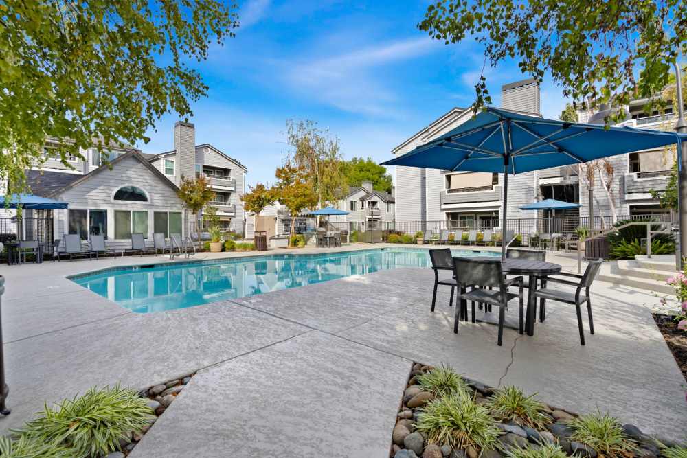 Sundeck with a umbrellas for shade at The Reserve at Capital Center Apartment Homes in Rancho Cordova, California