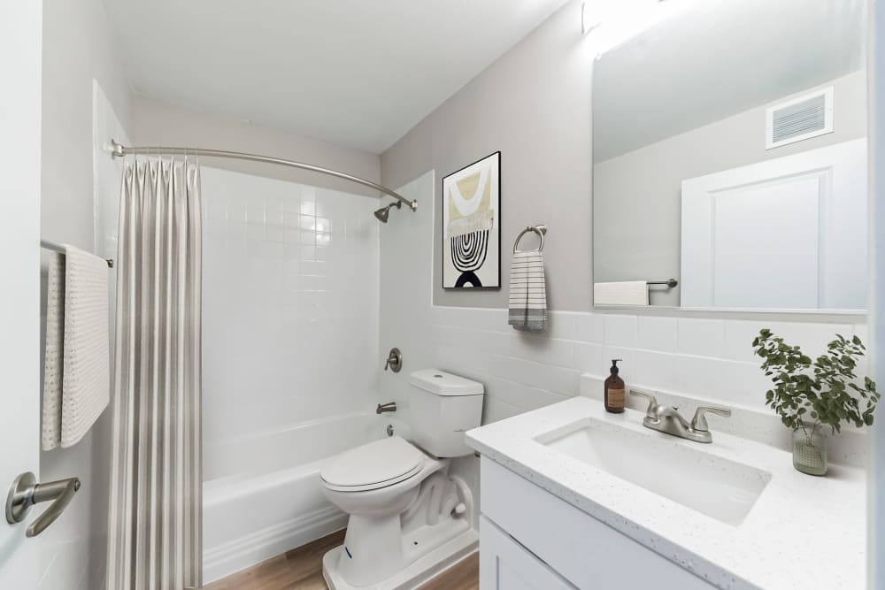 Modern Appliances in Renovated Bathroom at Chestnut Hill Tower in Philadelphia, Pennsylvania