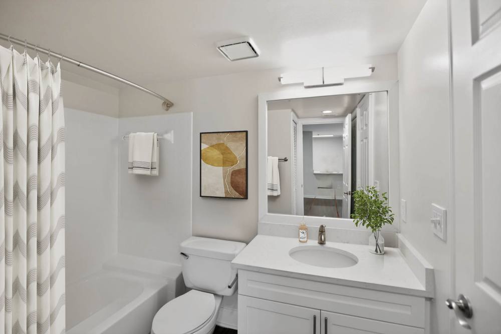 Bathroom with tub and vanity at Eagle Rock Apartments at Columbia Pike in Arlington, Virginia