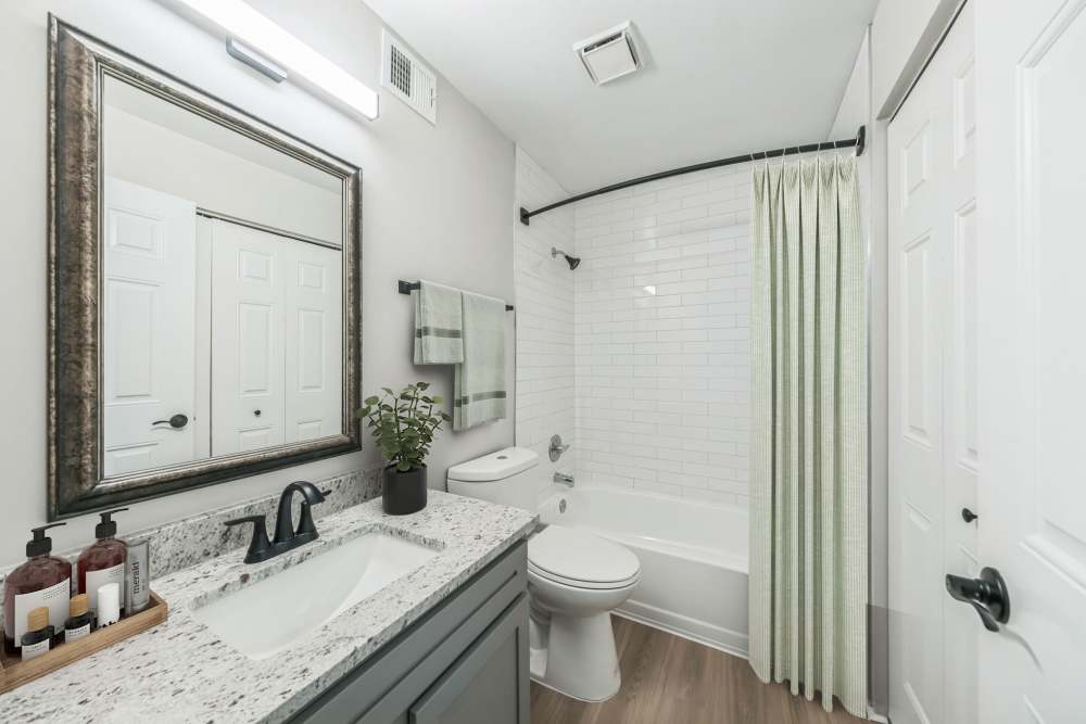 Modern Bathroom with Vanity Area at Eagle Rock Apartments at Columbia in Columbia, Maryland