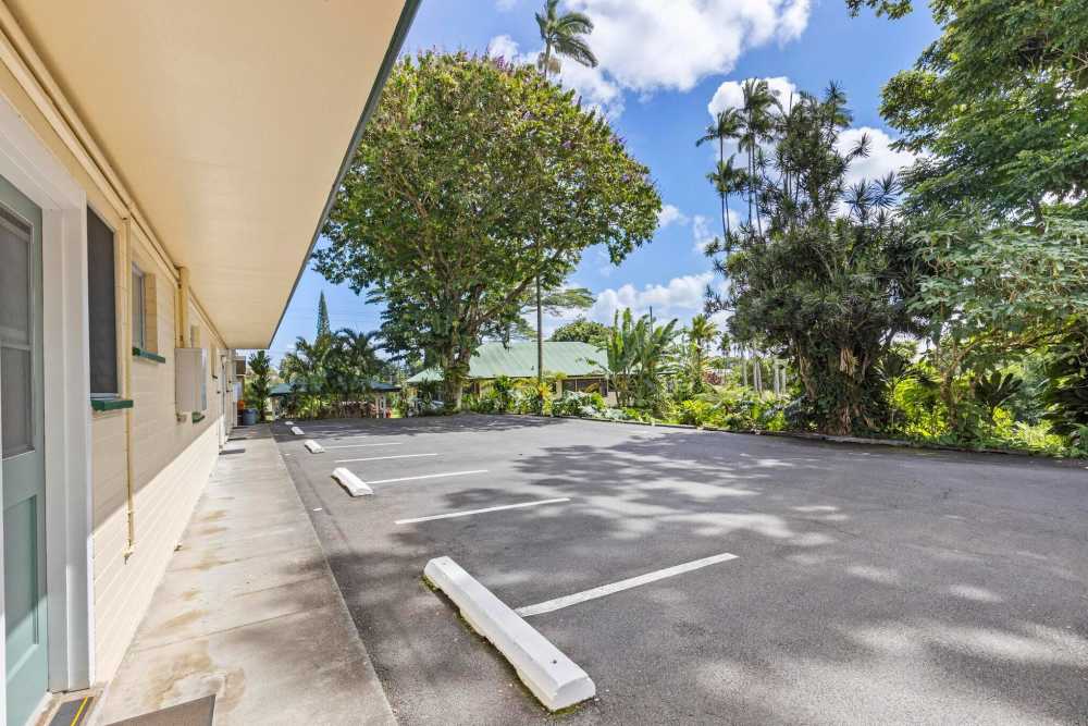 Sunlit empty parking lot beside a beige building, bordered by lush green trees under a bright blue sky with fluffy clouds. Quiet and serene atmosphere at Dolphin Bay Apartments in Hilo, Hawaii