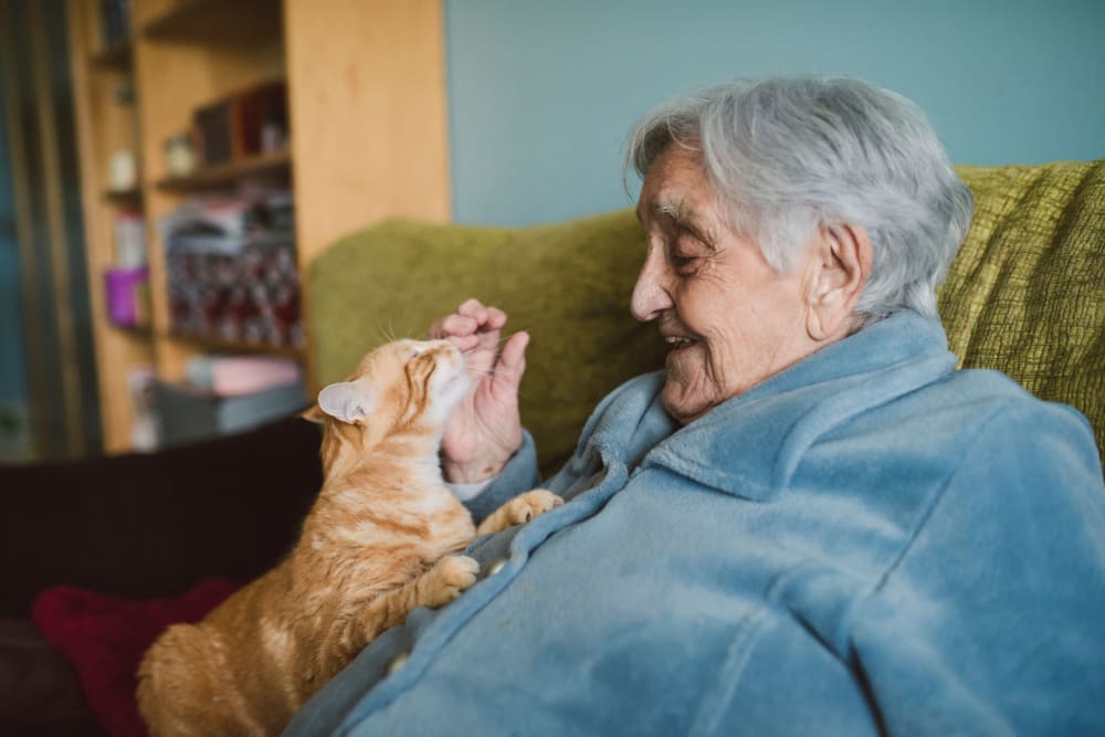 Resident relaxing at home with his cat at Harmony Place in Charlotte, North Carolina
