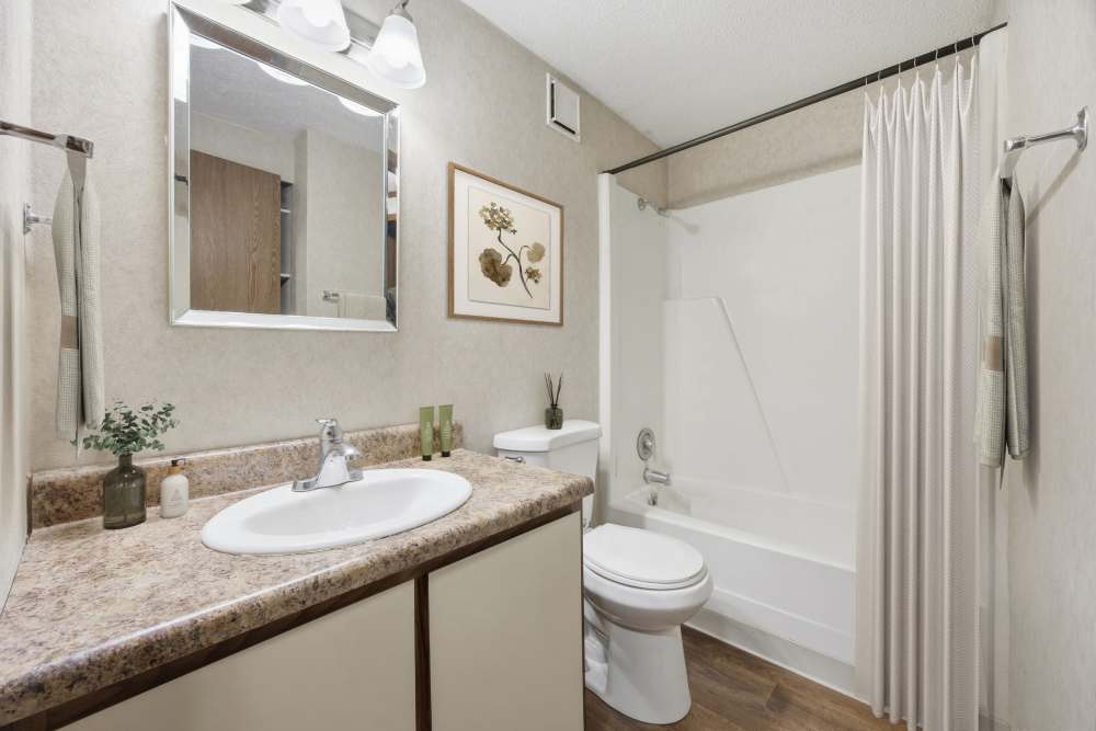 Bathroom at Cherry Tree Apartments in Rosedale, MD