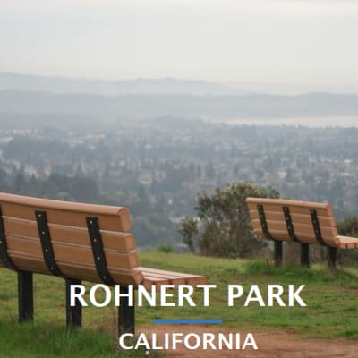 Rohnert Park Rutherford Management Company locations