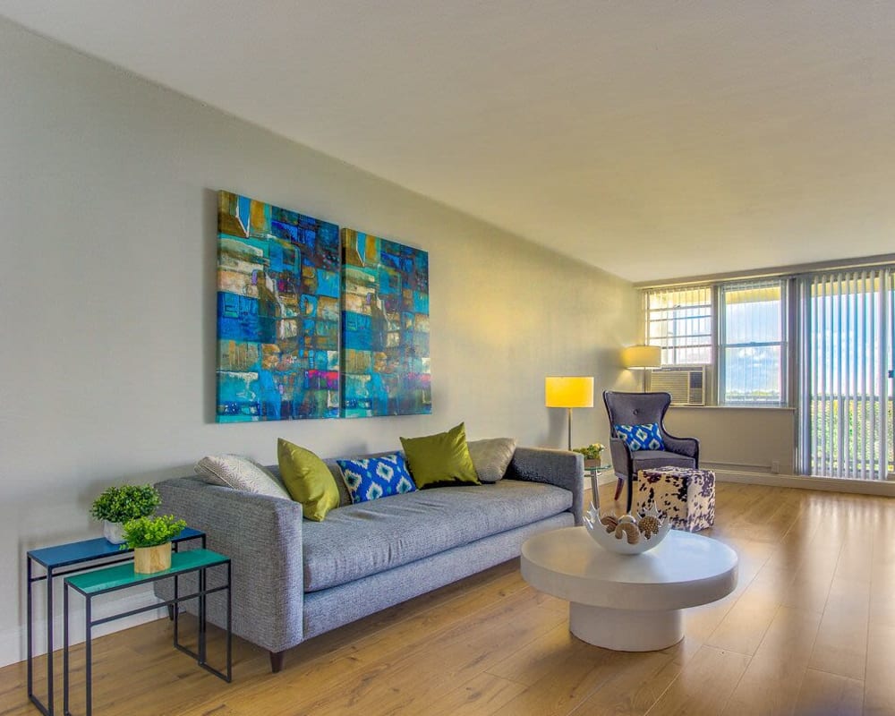 Light and bright living room at Chestnut Hill Tower in Philadelphia, Pennsylvania