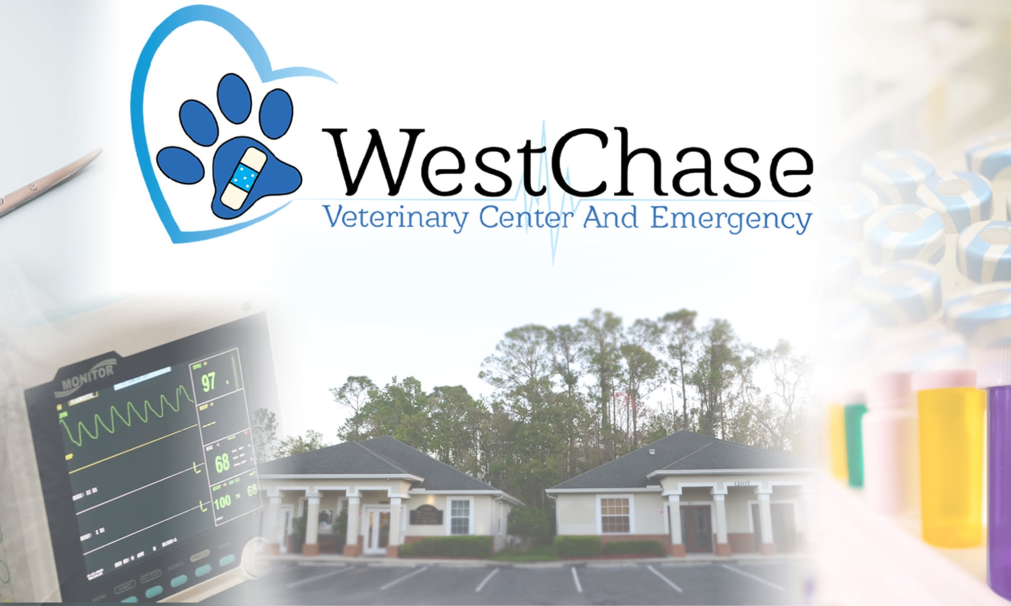 Animal Hospital in Tampa, FL