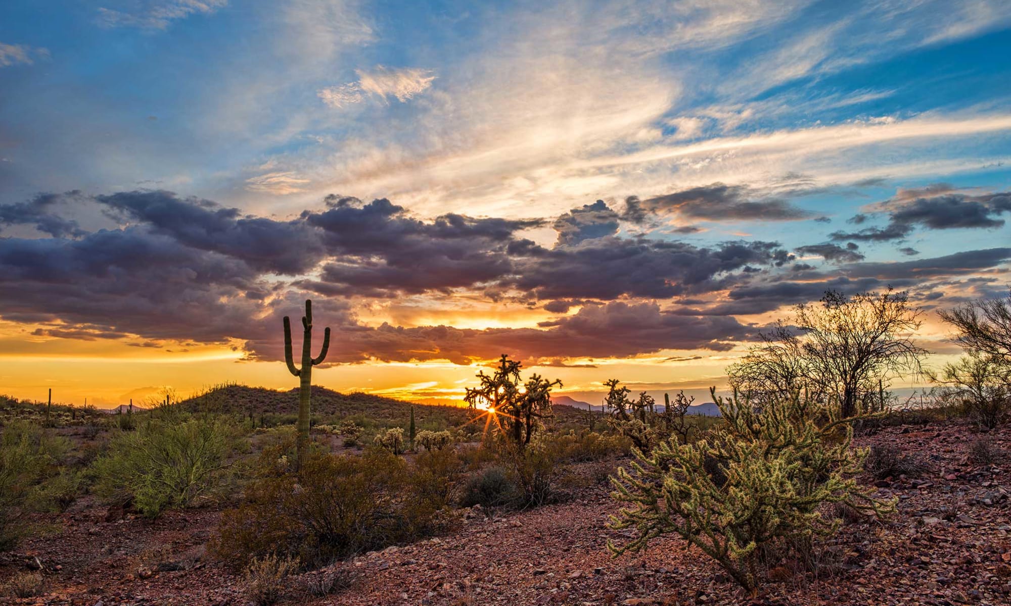 Senior living at Pennington Gardens in Chandler, Arizona