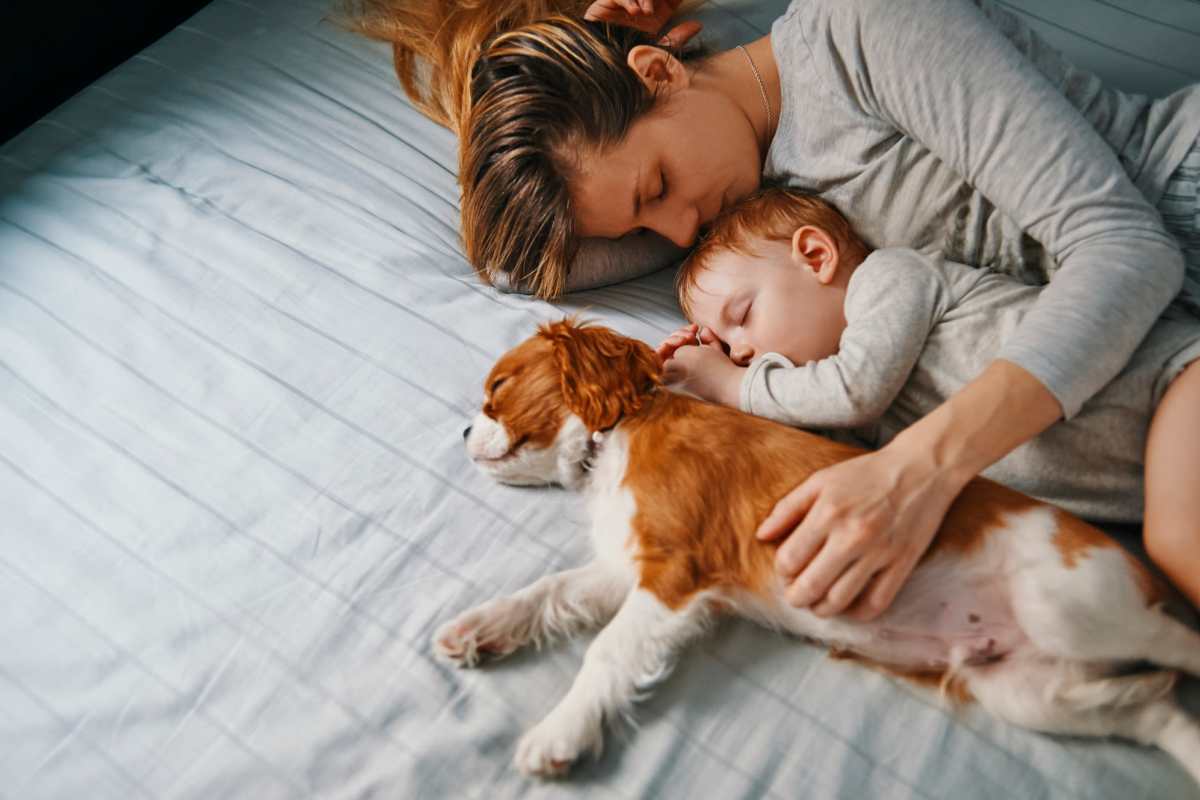 Resident sleeping together with their dog at Sugar Flats, Salt Lake City, Utah
