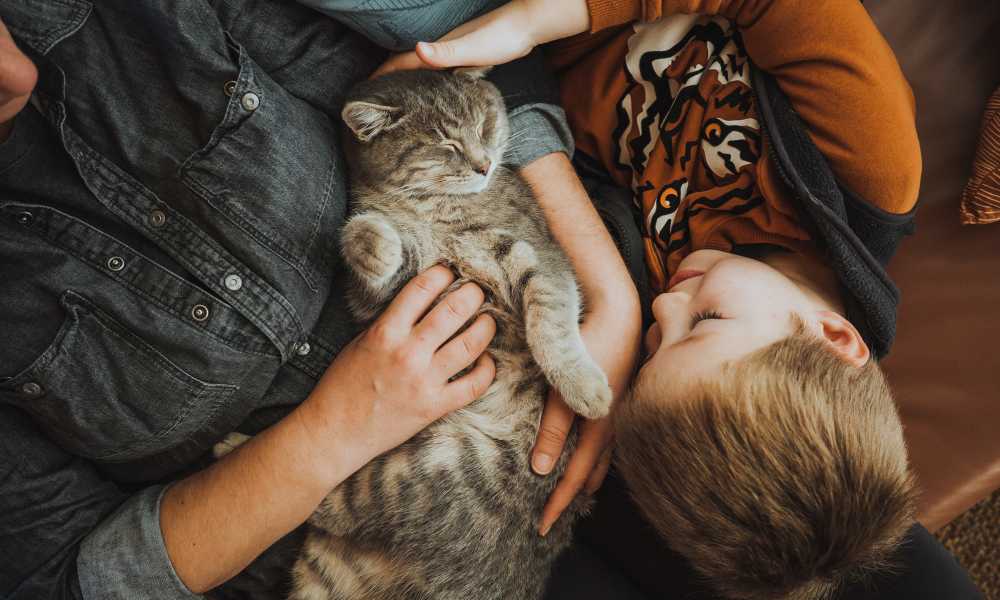 Residents cuddling with a cat at Capitol Lofts in Hartford, Connecticut