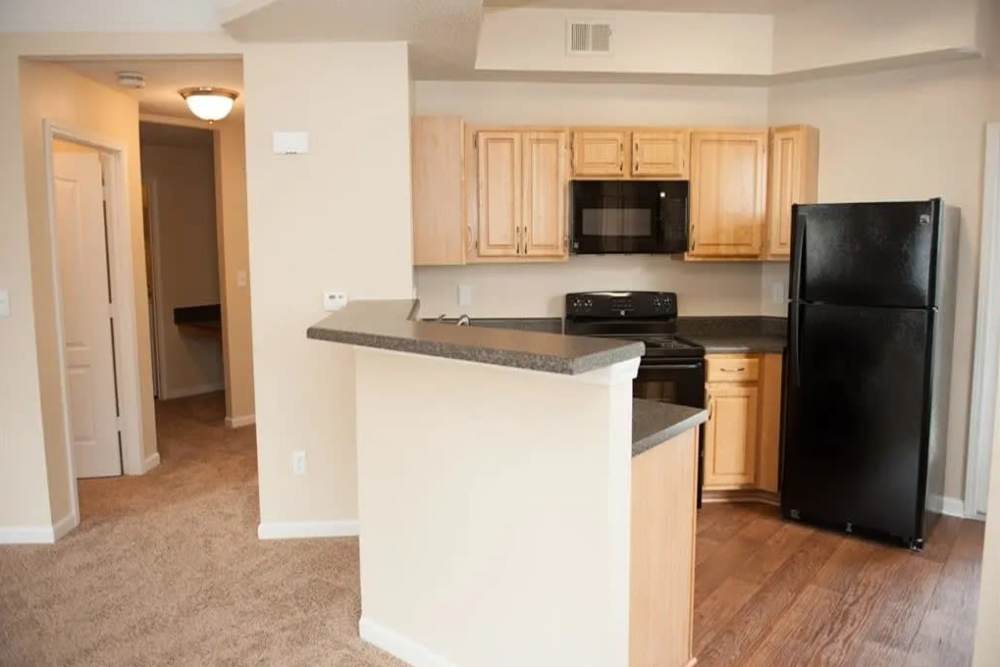 kitchen with black appliances