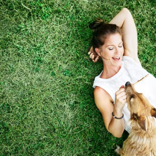 Resident laying on the grass with her dog at The Beacon at Gateway in Scarborough, Maine