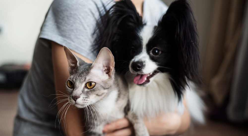 Resident holding her pets at Lankershim Arms in North Hollywood, California