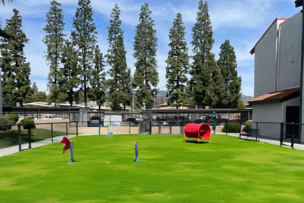 Apartments For Rent In Chatsworth, CA - Waterstone At Chatsworth Apartments - Gated Pet Park With Obstacles Course and Lush Landscaping